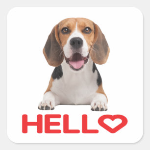 Adesivo Quadrado Cachorro Beagle Fofo Amante Coração Vermelho Olá A