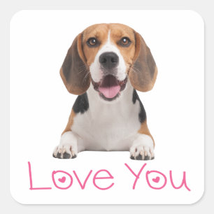 Adesivo Quadrado Cachorro Beagle Fofo Amante Corações Rosas Te Amo