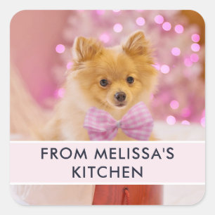 Adesivo Quadrado Cachorro Bonito com Cozinha de Fotos de Natal de A