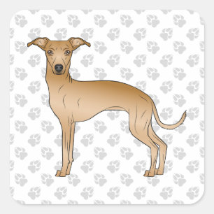Adesivo Quadrado Cachorro Cartoon Cute Galgo Italiano Com Patas
