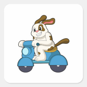 Adesivo Quadrado Cachorro como motociclista com Scooter.PNG