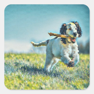 Adesivo Quadrado Cachorro correndo com pau
