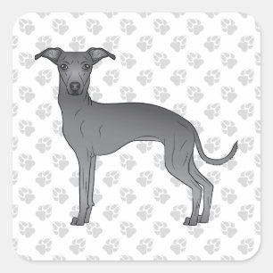 Adesivo Quadrado Cachorro de desenho animado fofo galgo italiano az