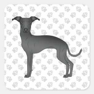 Adesivo Quadrado Cachorro de desenho animado fofo galgo italiano pr