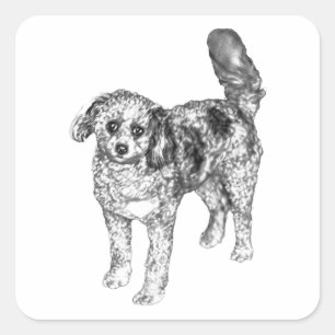 Adesivo Quadrado Cachorro de Pelagem Macia Compartilha Alegria de A