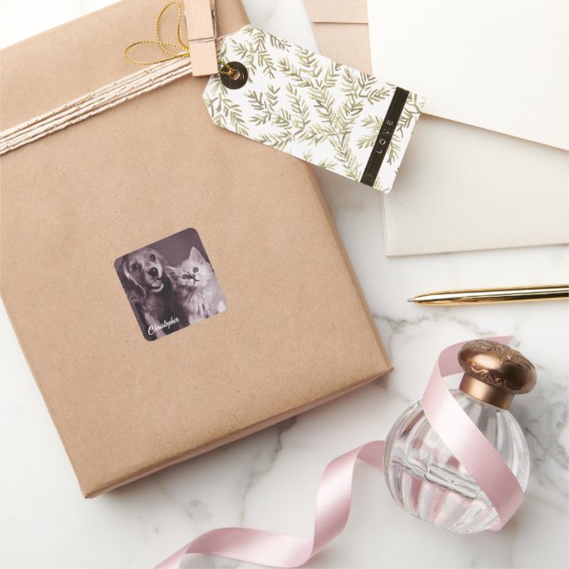 Adesivo Quadrado Cachorro e Gato, Procurando Personalizado (Presentear)