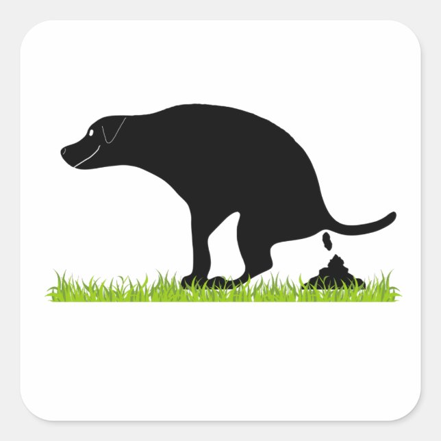 Adesivo Quadrado Cachorro Engraçado Pooping (Frente)