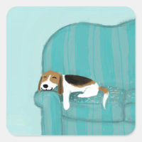 Cachorro Feliz - Gaiola Fresca Dormindo | Arte Pet