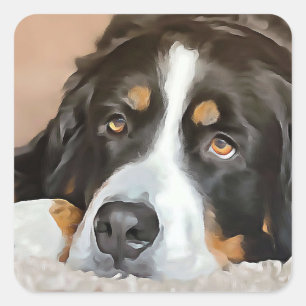Adesivo Quadrado Cachorro, fêmea, cão de montanha Bernese