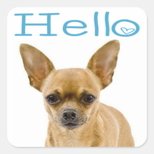 Adesivo Quadrado Cachorro Filhote Chihuahua Azul Olá Coração