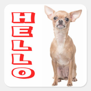Adesivo Quadrado Cachorro Filhote Chihuahua Vermelho Olá