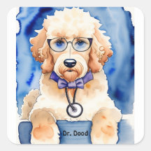 Cachorro Filhote Goldendoodle Fofo Crianças