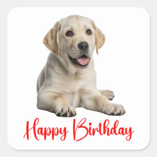 Adesivo Quadrado Cachorro Filhote Labrador Retriever Amarelo Aniver