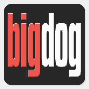 Adesivo Quadrado Cachorro Grande. Cão Superior. Queijo grande. Chef