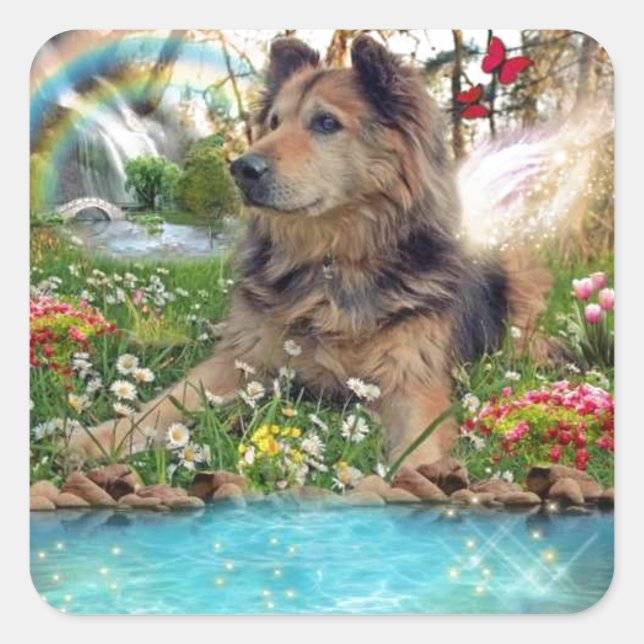 Adesivo Quadrado Cachorro no Rainbow Bridge Pet (Frente)