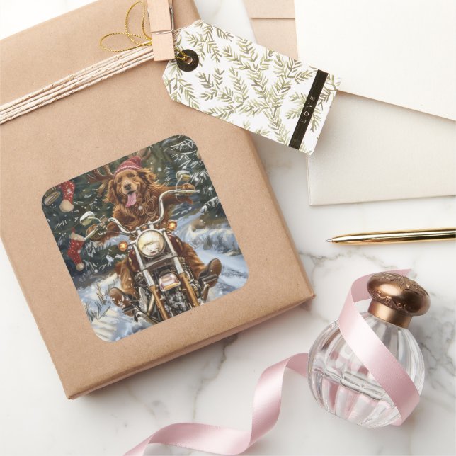 Adesivo Quadrado Cachorro Nova Scotia no Natal (Presentear)