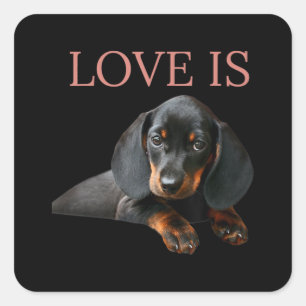 Adesivo Quadrado Cachorro Pai Homens Mulheres Crianças Dando Doxie