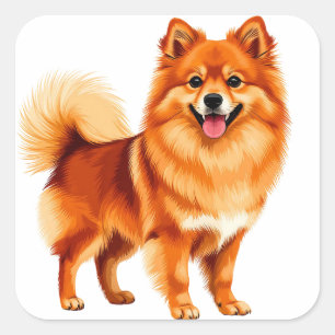 Adesivo Quadrado Cachorro Pomerânia Feliz