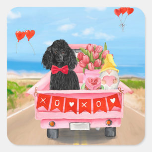 Adesivo Quadrado Cachorro Poodle Caminhão do Dia dos Namorados Cora