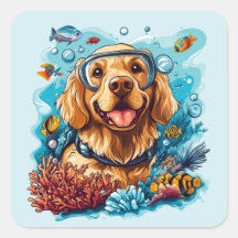 Cachorro Retriever Dourado Snorkeling Recife de Co
