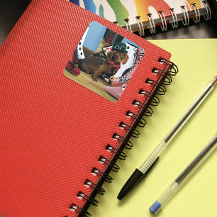 Adesivo Quadrado Cachorro Salsicha Dachshund Steampunk Botas Vitori