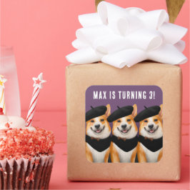 Adesivo Quadrado Cachorros Chic Corgi Cute Desejam Feliz Aniversári
