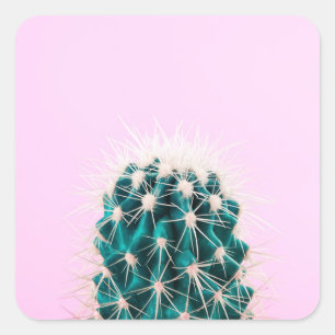 Adesivo Quadrado Cacto de Prickley no rosa