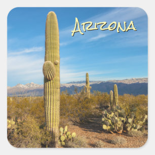 Adesivo Quadrado Cactos Saguaro do Arizona