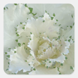 Adesivo Quadrado Cactus