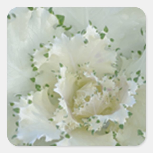 Adesivo Quadrado Cactus (Frente)