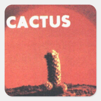 Adesivo Quadrado Cactus 1970 Stickers (Reprodução)
