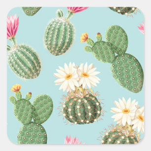 Adesivo Quadrado Cactus, flores cor-de-rosa: decor leve