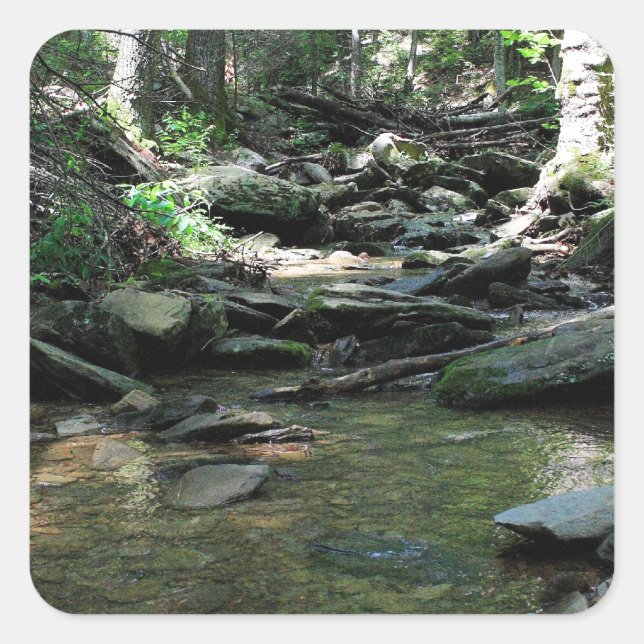 Adesivo Quadrado Cade's Cove (Frente)