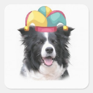 Adesivo Quadrado Cães Ditzy~Adesivo Original~Collie de Borda