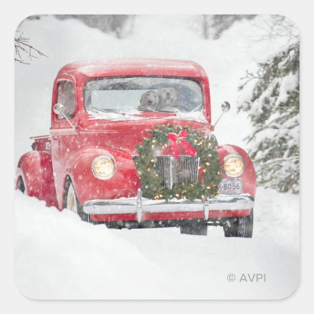 Adesivo Quadrado Cães num Caminhão (Frente)