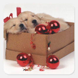 Adesivo Quadrado Cãezinhos Labrador bonitos com baubles de Natal