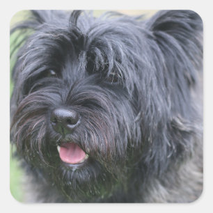 Adesivo Quadrado Cairn