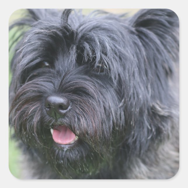 Adesivo Quadrado Cairn (Frente)