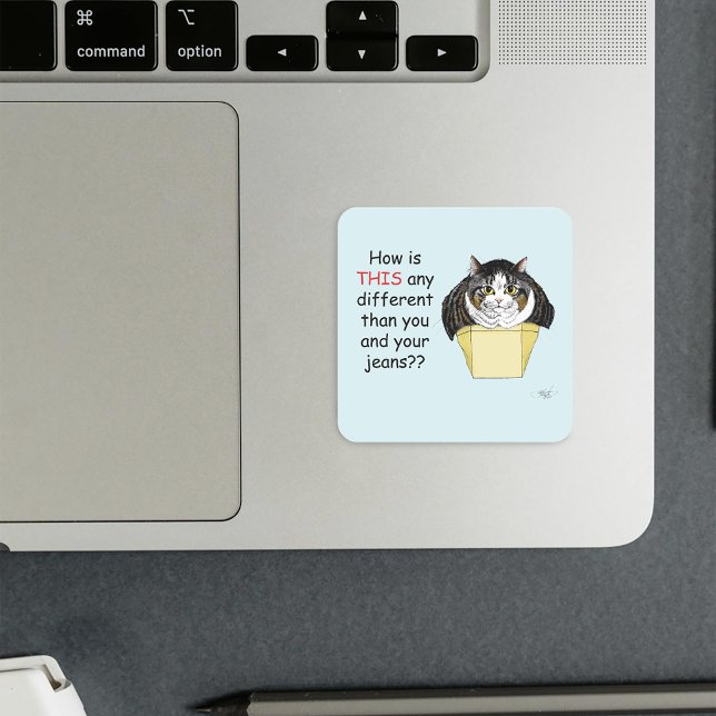 Adesivo Quadrado Caixa de Gatos Engraçado Chubby Tabby (Criador carregado)