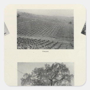 Adesivo Quadrado Califórnia 4