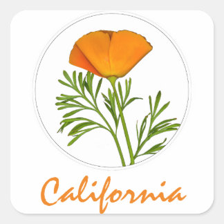 Adesivo Quadrado California Poppy em um Círculo, Texto "California"
