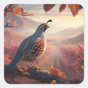 Adesivo Quadrado California Quail Birds Natureza