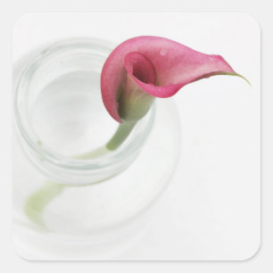 Adesivo Quadrado Calla