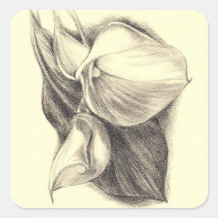 Adesivo Quadrado Calla Lily Drawing