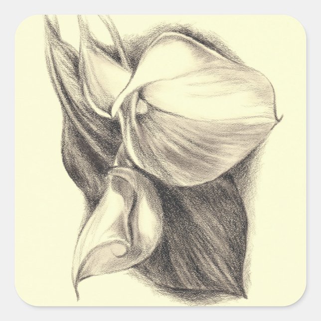 Adesivo Quadrado Calla Lily Drawing (Frente)