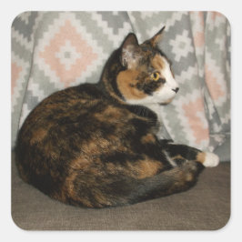 Adesivo Quadrado Callie Cat em Sofa