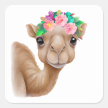Camelo bebê adorável
