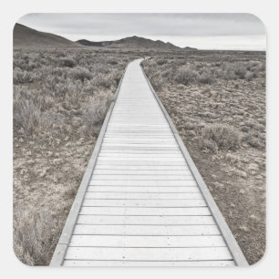 Adesivo Quadrado Caminhada de barro através do deserto