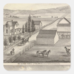 Adesivo Quadrado Caminhante, residências de Knittel, fazendas