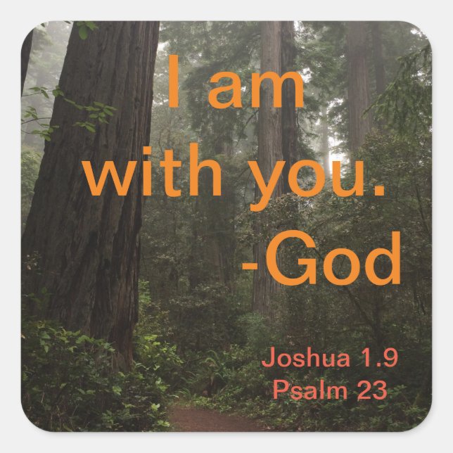 Adesivo Quadrado Caminho de Sequoias (Frente)